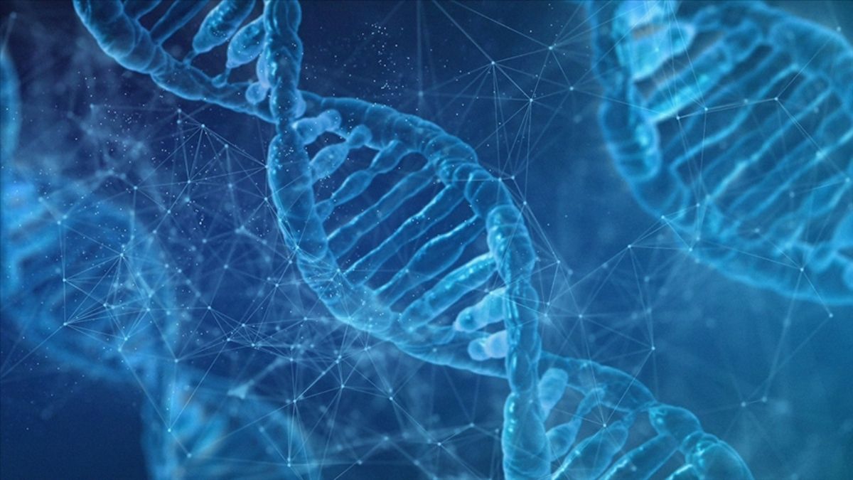 DNA’lar yeniden kodlanıyor: Laboratuvarda “insan üretimi” yapılacak